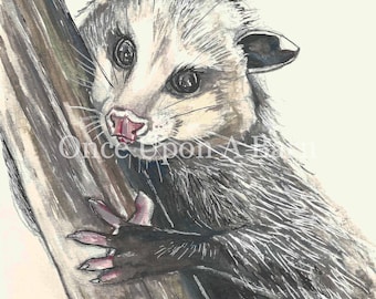Opposum