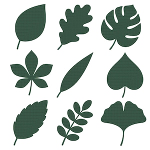 May include: A collection of nine dark green leaf silhouettes arranged in a three-by-three grid. The shapes include various botanical forms such as a monstera leaf, an oak leaf, a ginkgo leaf, and other distinct foliage outlines with a subtle texture.