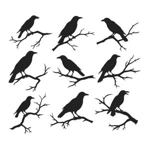 May include: Nine black crow silhouettes perched on bare tree branches against a white background. The crows are in various poses, some with open beaks, creating a repeating pattern. Ideal for Halloween or gothic-themed designs.