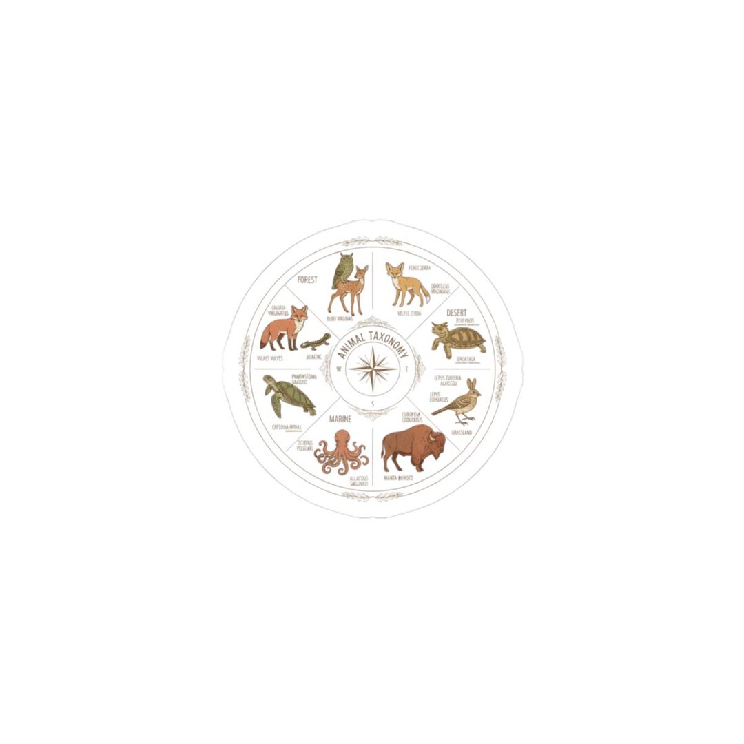 Taxonomy Stickers Animal Taxonomy Plate Kiss-cut Stickers | Vintage Zoology Chart ...