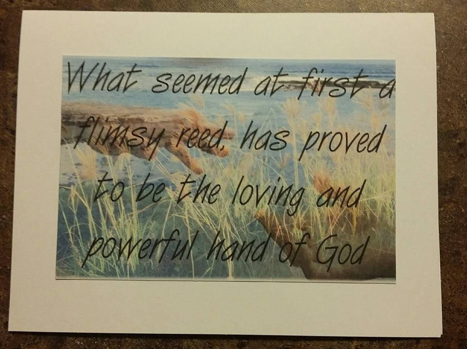 What Seemed at First a Flimsy Reed 12 Step Greeting Card - Etsy