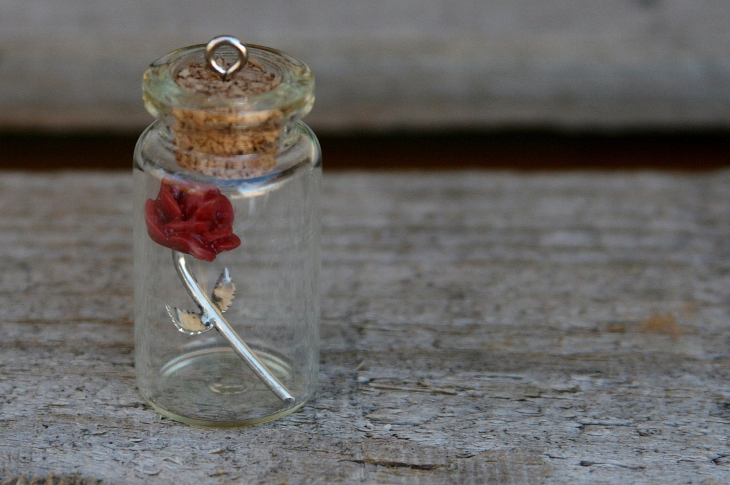 Handmade Beauty and the Beast Rose in a Glass Jar/ Sterling Etsy