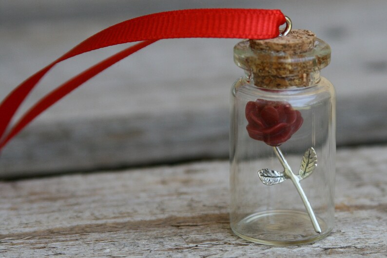Handmade Beauty and The Beast Rose in a Glass Jar/ Sterling Etsy