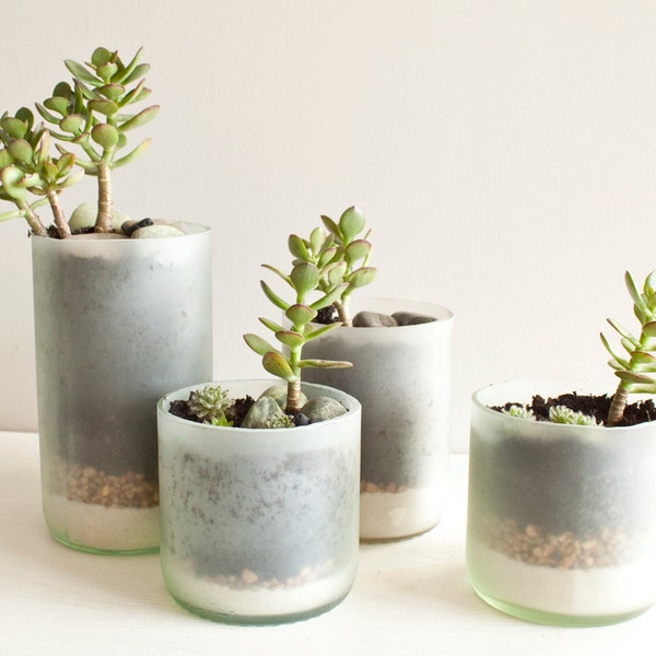 Recycled Wine Bottle Succulent Planters - Size Small