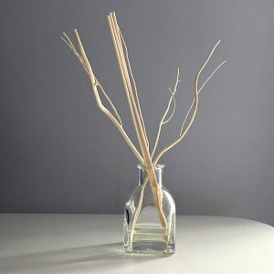 Puede incluir: Una botella difusora de vidrio transparente con forma redondeada, llena de líquido y cañas de color claro. Las cañas están dispuestas para abanicarse desde la botella, creando una exhibición decorativa y aromática. La botella se encuentra sobre una superficie blanca sobre un fondo gris.