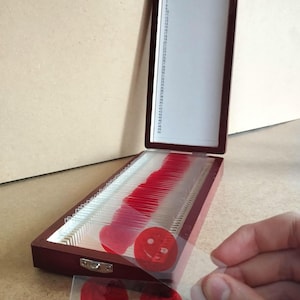 デクスター ブラッドスライド トロフィーボックス