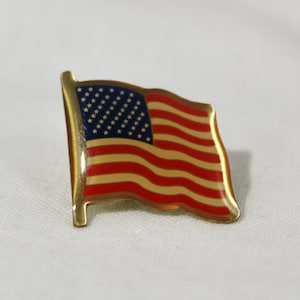 Older American Flag Pin