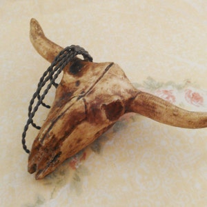 Ox moldeado de plástico o cabeza esqueleto de ganado con cuerda de alambre - Suministro artesanal