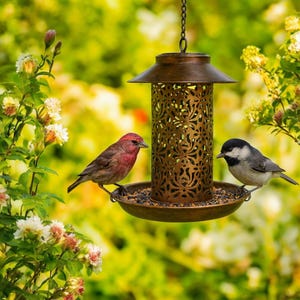 Antique bird feeder - Etsy 日本