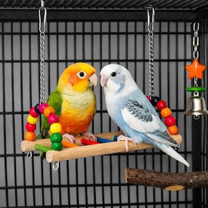 May include: Two colorful parrots perched on a wooden swing inside a black cage. The swing has a wooden perch with colorful beads and a chain for hanging. A bell and star-shaped toy hang nearby.