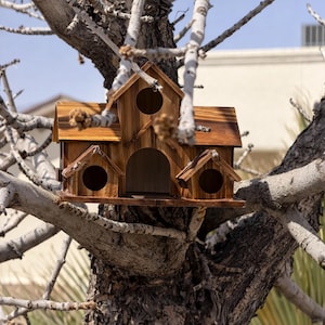 Könnte beinhalten: Ein hölzernes Vogelhaus mit Mehrraum-Design, mit einem zentralen bogenförmigen Eingang und kreisförmigen Öffnungen. Das Vogelhaus ist an einem Ast befestigt und zeigt seine natürliche Holzmaserung. Eine charmante Ergänzung für jeden Garten.