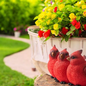 May include: Three bright red cardinal statues are perched on a wooden surface, with a white planter overflowing with yellow and red flowers in the background. The scene is set outdoors with a blurred green lawn.