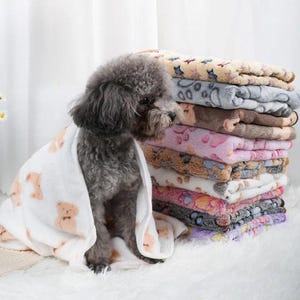 May include: A small, gray dog is wrapped in a white towel printed with light brown teddy bears. A stack of colorful pet blankets with paw print and animal patterns sits behind the dog. The blankets are various colors, including pink, gray, and tan.