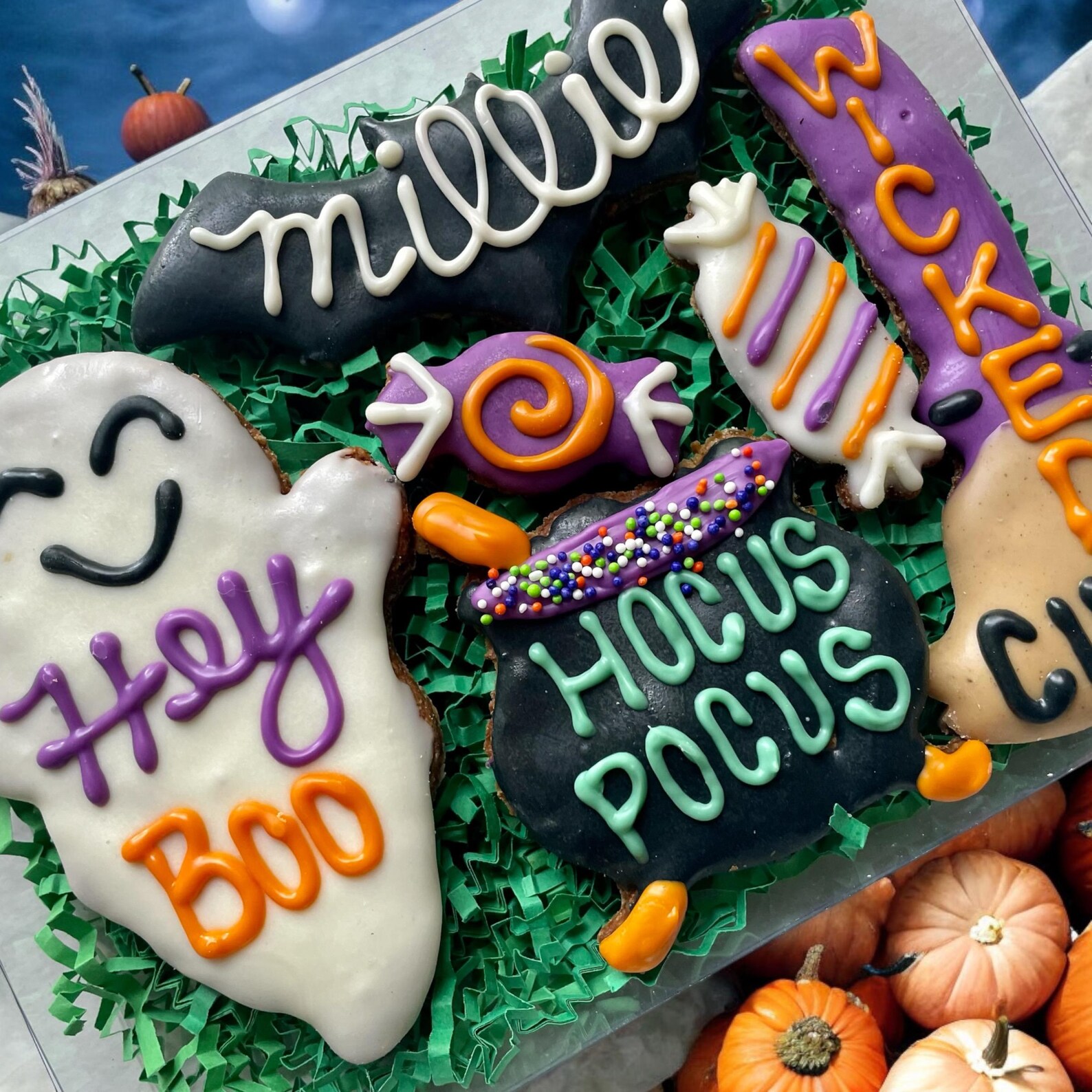 Halloween Boo Dog Treats Gift Etsy Canada