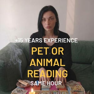 May include: A person in a black long-sleeved shirt sits behind a table with tarot cards, a lit candle, crystals, and incense. Text overlays read +15 YEARS EXPERIENCE, PET OR ANIMAL READING, and SAME HOUR, describing a psychic service offering.