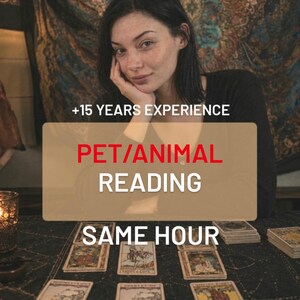 Pet Psychic Reading, Same Hour Animal Communication, Understand Your Pet's Feelings, Dog Cat