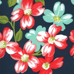 LAMINATED cotton fabric - Moda Sunday Stroll (sold continuous by the half yard) Food Safe Fabric, BPA free