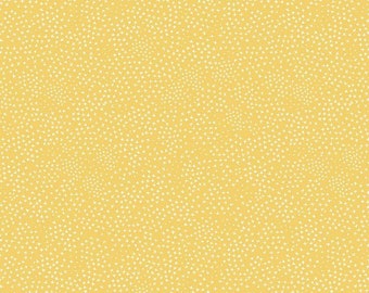 Honey Bee Criss Cross Daisy * - LAMINATED Cotton Fabric - Riley Blake