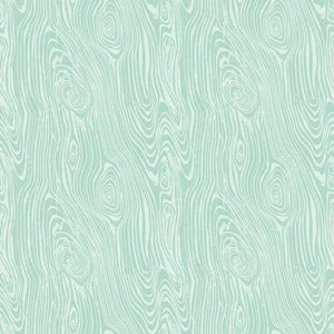 Glamp Camp Wood Grain Mint * - Tessuto di cotone laminato - Riley Blake