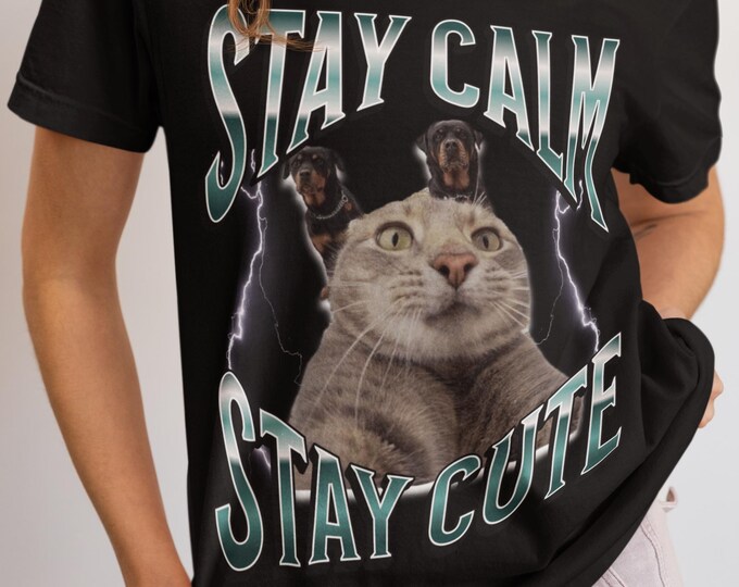 Retro funny cat lover meme shirt, Grunge vintage Y2K Aesthetic Graphic T-shirt, Trending TikTok Humor Gift, Viral Unisex Casual Everyday tee