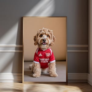 Puede incluir: Retrato enmarcado de un perro con una camiseta de fútbol roja y blanca. La camiseta tiene el logo del Arsenal y las palabras "emirates FLY BETTER". El perro tiene pelaje marrón claro y está sentado frente a un fondo neutro.