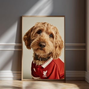 Puede incluir: Retrato enmarcado de un perro Cockapoo marrón dorado con una camiseta roja y blanca. La camiseta tiene un emblema blanco en el pecho. El perro lleva un collar negro. El retrato se muestra sobre un fondo neutro. La camiseta es una camiseta de club de fútbol.