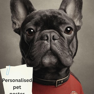 May include: A black French Bulldog wearing a red and black jersey with a team logo. The dog has large, expressive brown eyes and a black collar. A paper with the text "Personalised pet poster" is attached with a blue paper clip.