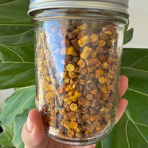 May include: A clear glass jar with a silver lid filled with bee pollen. The jar is held by a person's hand, with a green leafy plant in the background. The bee pollen is a mix of yellow and brown granules.