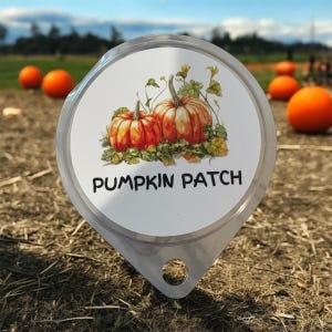 May include: A clear, circular sign with the words "PUMPKIN PATCH" in black. The sign features an illustration of two orange pumpkins with green vines and leaves. Several orange pumpkins are visible in the background.