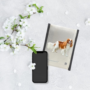 Könnte beinhalten: Ein Smartphone mit leerem schwarzem Bildschirm liegt in der Nähe eines Artikels zum Thema Hunde. Der Artikel zeigt eine Illustration eines Cavalier King Charles Spaniels in Braun, Weiß und Beige. Weiße Blüten und Blütenblätter sind um die Gegenstände verstreut.