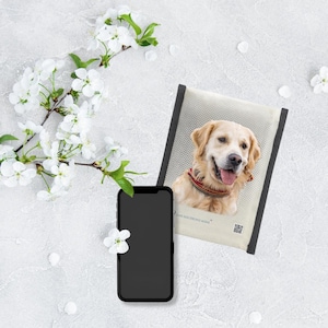 Könnte beinhalten: Ein Smartphone mit leerem schwarzem Bildschirm liegt neben einem cremefarbenen Haustierporträt. Das Porträt zeigt einen Golden Retriever mit rotem und schwarzem Halsband. Weiße Blüten und Blütenblätter sind verstreut.