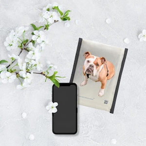 Könnte beinhalten: Eine braun-weiße Bulldogge liegt auf einem hellbeigen Haustierbett mit schwarzem Rand. Ein schwarzes Smartphone und ein blühender Zweig sind ebenfalls im Bild. Auf dem Haustierbett steht der Text "SAFE KIDS STRONG HOME".