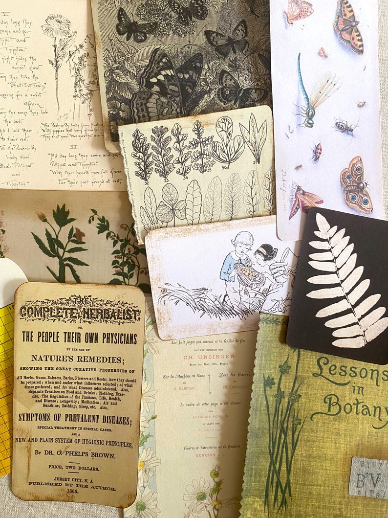 K&ouml;nnte beinhalten: Eine Collage aus Vintage-Botaniker-Illustrationen und Ephemera. Enth&auml;lt Zeichnungen von Schmetterlingen, Farnen und anderen Pflanzen. Es gibt Text aus einem Buch mit dem Titel "Complete Herbalist" und "Lessons in Botany". Die Farbpalette ist ged&auml;mpft mit Sepia-T&ouml;nen und Gr&uuml;nt&ouml;nen.
