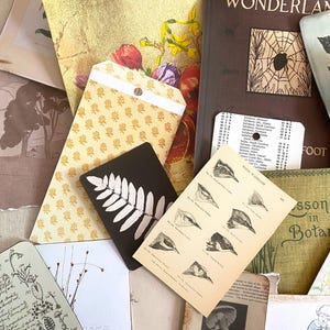 K&ouml;nnte beinhalten: Eine Sammlung von Vintage-Ephemera, darunter ein Buch mit dem Titel "Insect Wonderland", botanische Illustrationen und dekorative Karten. Die Artikel weisen Blumen- und Insektenmotive mit einer Farbpalette aus Gold, Braun und Creme auf.