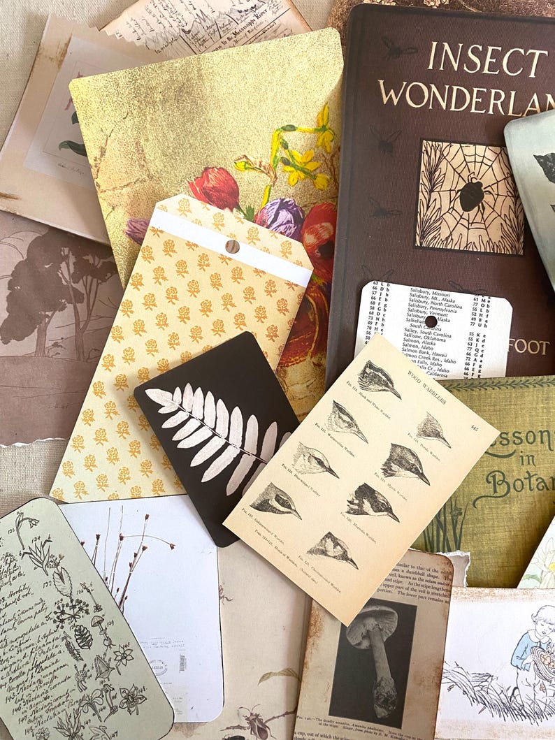 K&ouml;nnte beinhalten: Eine Sammlung von Vintage-Ephemera, darunter ein Buch mit dem Titel "Insect Wonderland", botanische Illustrationen und dekorative Karten. Die Artikel weisen Blumen- und Insektenmotive mit einer Farbpalette aus Gold, Braun und Creme auf.
