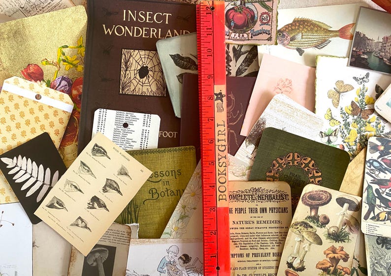 K&ouml;nnte beinhalten: Eine Sammlung von Vintage-Ephemera, darunter ein Buch mit dem Titel "Insect Wonderland", botanische Illustrationen und ein rotes Lineal. Die Artikel sind in einer Collage angeordnet und zeigen eine Vielzahl von Farben und Texturen, mit dem Text "BOOKSYGIRL" auf dem Lineal.