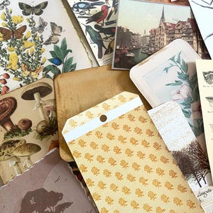 K&ouml;nnte beinhalten: Eine Sammlung von Vintage-Ephemera, darunter botanische Illustrationen von Schmetterlingen, Pilzen und V&ouml;geln. Das Sortiment umfasst Postkarten mit Stadtansichten und floralen Designs sowie Papieranh&auml;nger mit Mustern. Die Farbpalette umfasst Braunt&ouml;ne, Gelb und Gr&uuml;n.