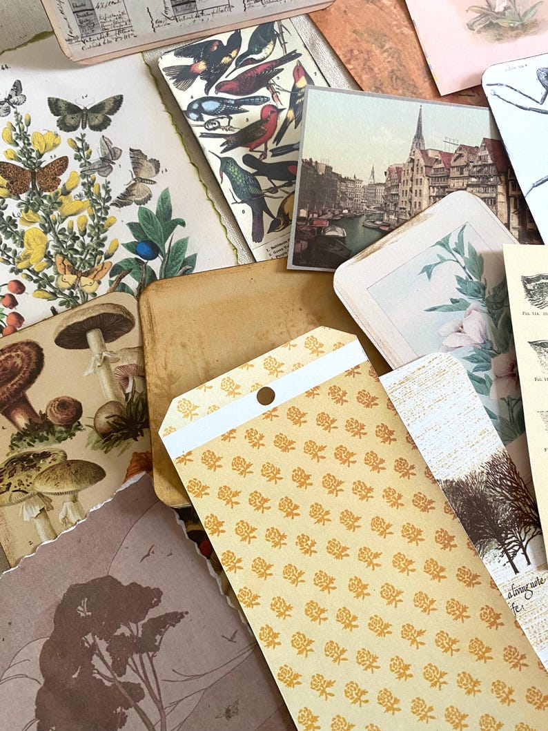 K&ouml;nnte beinhalten: Eine Sammlung von Vintage-Ephemera, darunter botanische Illustrationen von Schmetterlingen, Pilzen und V&ouml;geln. Das Sortiment umfasst Postkarten mit Stadtansichten und floralen Designs sowie Papieranh&auml;nger mit Mustern. Die Farbpalette umfasst Braunt&ouml;ne, Gelb und Gr&uuml;n.