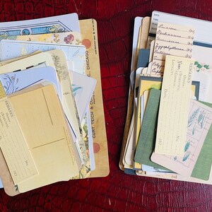 Botanical Junk Journal Bundle, Precut, Physical Item, Vintage Botanical Images, Eclectic Nature Set, Nature, Insects, Plants, 40+ items Bild 10