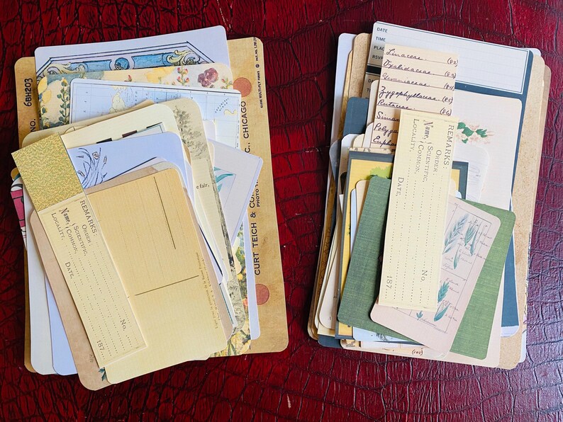 Botanical Junk Journal Bundle, Precut, Physical Item, Vintage Botanical Images, Eclectic Nature Set, Nature, Insects, Plants, 40+ items Bild 10