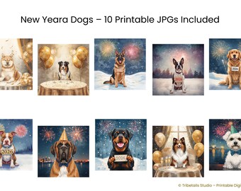 Perro con gorro de fiesta bajo fuegos artificiales – Arte de pared festivo para mascotas 2026 | Ilustración en acuarela suave | Decoración acogedora para una celebración invernal
