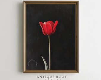 Vintage rote Tulpe botanische Druck, dunkle schwermütige Blumenkunst, minimalistische Bauernhausdekor, druckbare Wandkunst, sofortiger digitaler Download