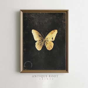 May include: A framed print featuring a detailed butterfly with golden-yellow wings against a dark background. The artwork is in a gold-colored frame and includes the text "ANTIQUE ROOT PRINTS".