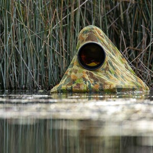 May include: A camouflage blind with a large lens, partially submerged in water. The blind is made of a green, brown, and tan patterned fabric. Tall reeds and water reflections are in the background, suggesting a wildlife photography setting.