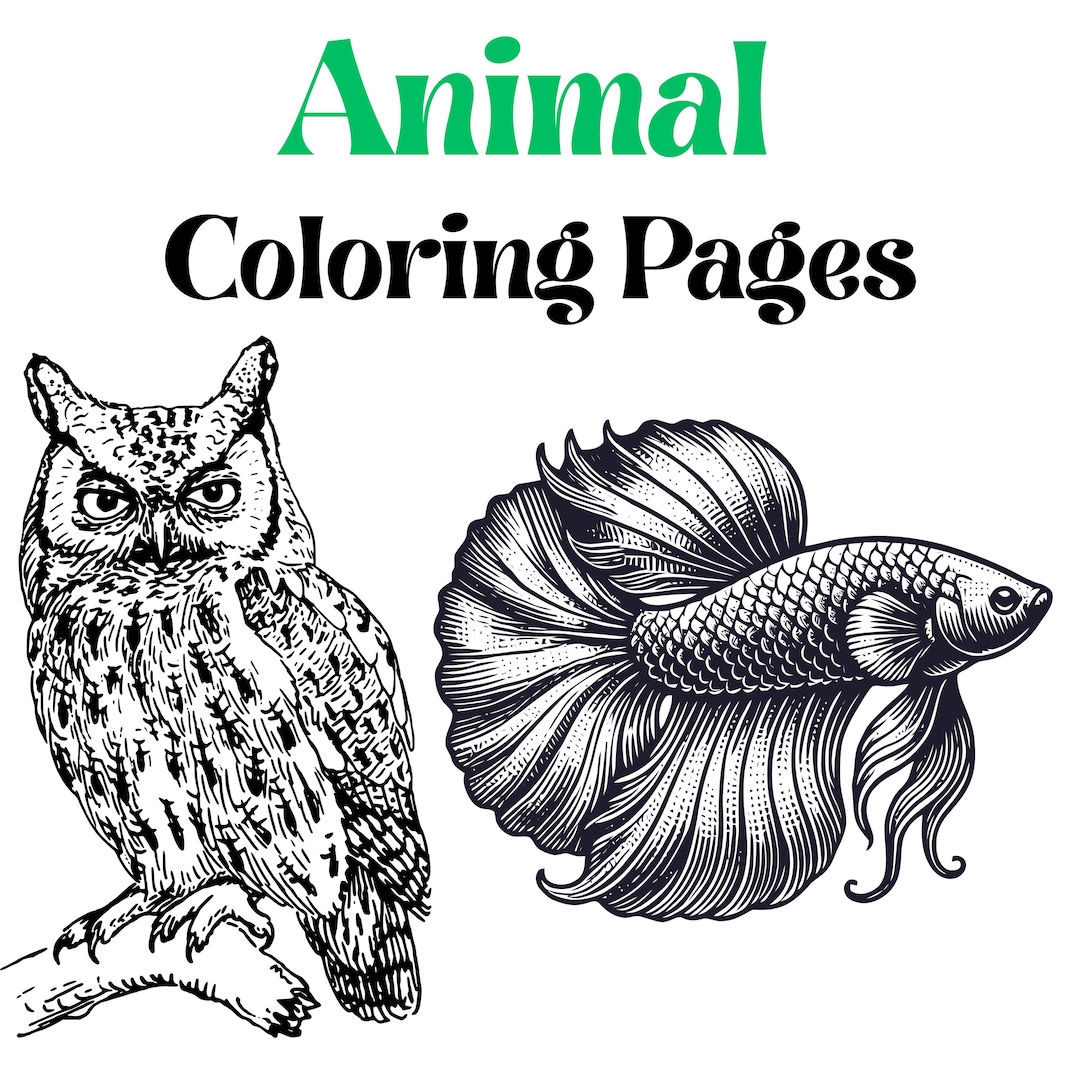 Ausmalbilder Tiere/Ausmalbilder PDF zum Ausdrucken - Etsy.de
