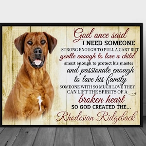 May include: A framed print featuring a Rhodesian Ridgeback dog with a wooden background. The text reads "God once said I NEED SOMEONE...Rhodesian Ridgeback." The dog is brown with a black frame.