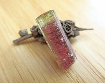 Bi-Coloured Tourmaline Crystal