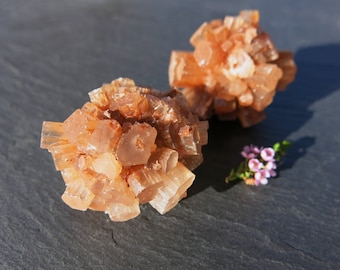 Aragonite Crystal Sputnik
