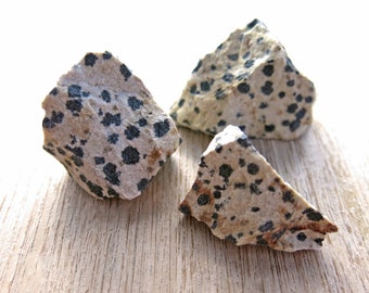 Dalmatian Jasper Stone