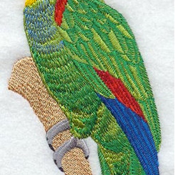 Male Amazon Parrot Embroidered Waffle Weave Hand Towel